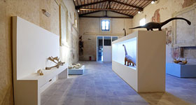 Mostra Permanente di Paleontologia - Terni Musei
